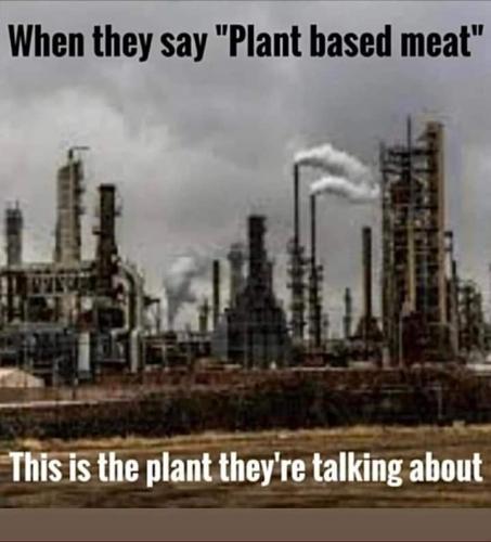 FB_IMG_1644939637249