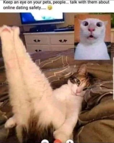 22:23:03 GMT-0400 (AST)