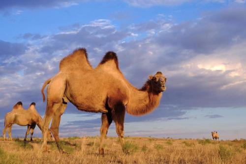 273724723_1762207087311967_6753637133465369762_n