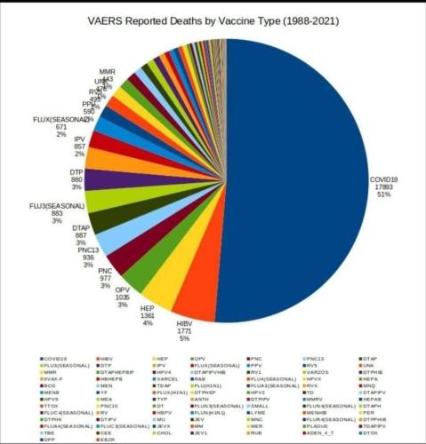 vaccine type