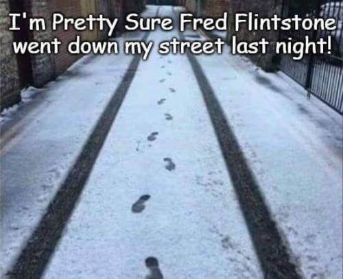FB_IMG_1644175747864