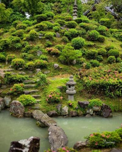 274696339_487174029791475_8777473708307180990_n