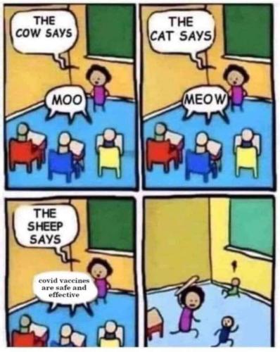 FB_IMG_1643147822016