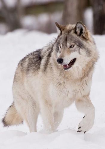 6681aecdd28ef846640aa3e19a6f8fef