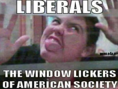 FB_IMG_1646082985628