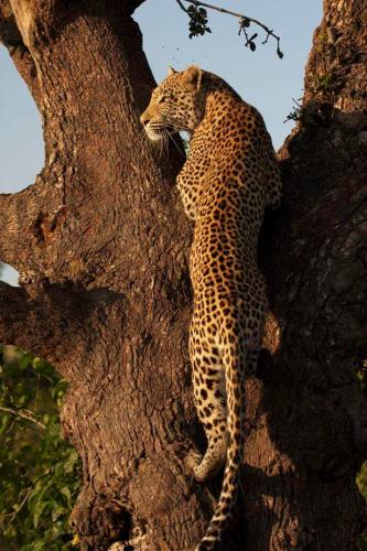 274266184_1768577570008252_3490581830833179254_n