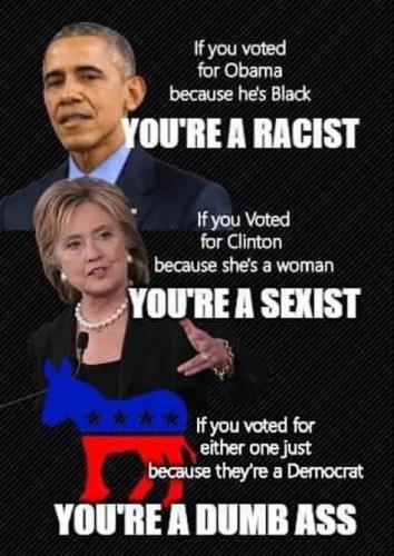 democrats491