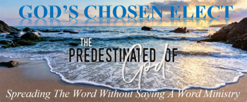 272841626_5276154205748162_6941740904218379550_n