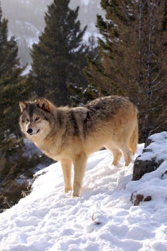 273323242_1759544017578274_7252033963704390176_n