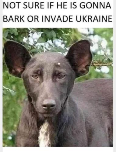 Resized_Screenshot_20220221-135856_MeWe_240743753204776