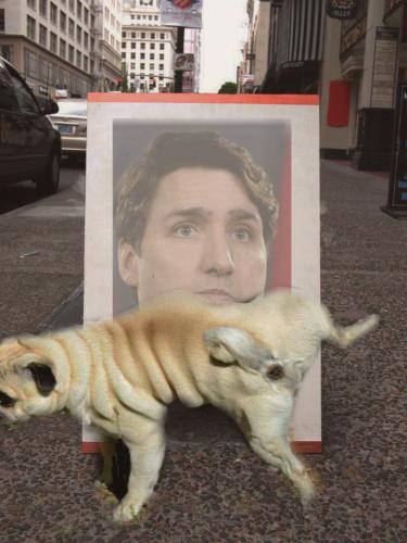 274395569_10160318942271995_4970732302152035482_n