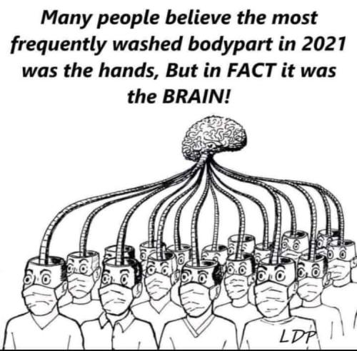 FB_IMG_1645112542581