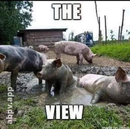 FB_IMG_1644003240762