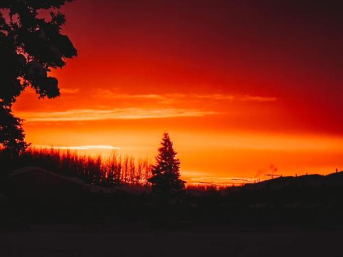 10:06:33 GMT-0900 (AKST).image