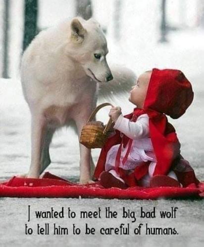 FB_IMG_1644031665195