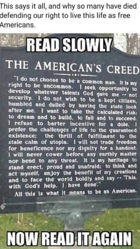 FB_IMG_1661067016231333450