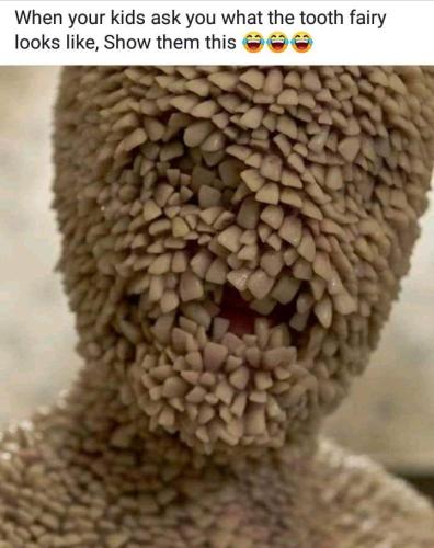 FB_IMG_1618609167181