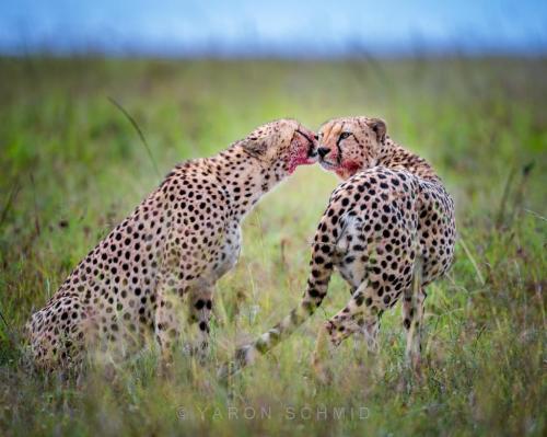 273942814_472635880978002_6663248903712579727_n