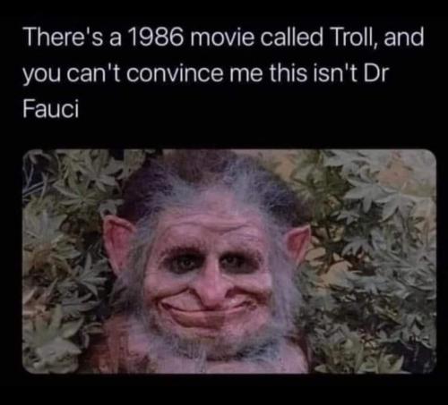 FB_IMG_1644269598149