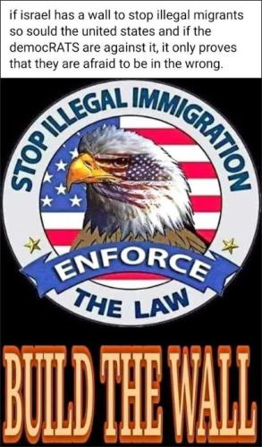 illegal immigration270