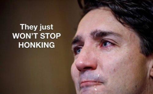 273041886_318017360364481_7863387424376979615_n