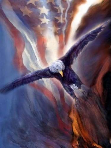 19:46:44 GMT-0600 (CST)