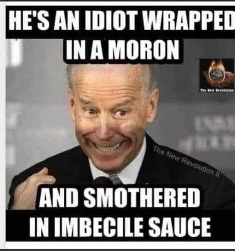 F068A3F1-9DBE-4704-85C8-BB334D980A51-276-0000003644822AFB