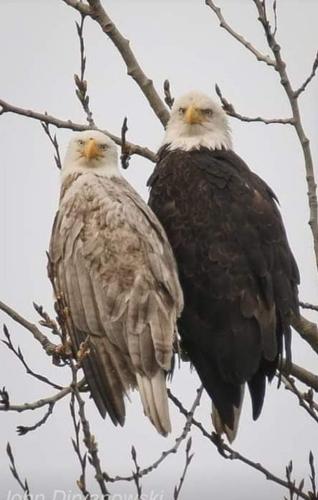 FB_IMG_1645370331508