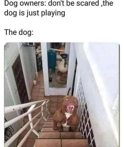 FB_IMG_1645385122784