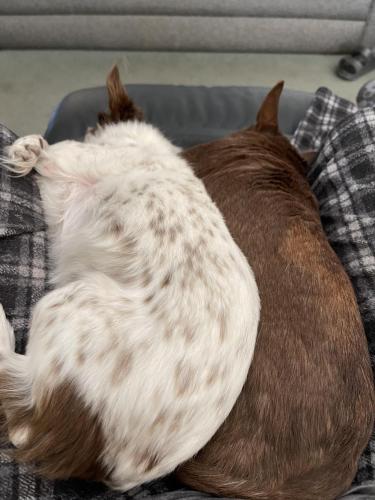 777CE494-BEAE-4C0E-9FAE-98EAB998B120-2079-00000227FEC88C6C