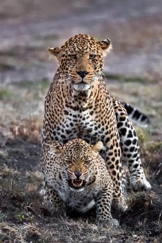 273959522_472635930977997_1112106980600609779_n