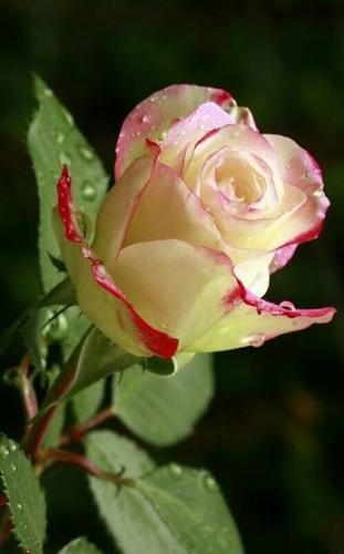 19:34:24 GMT-0600 (CST)