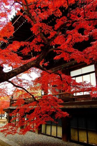 8b93ce2c05ccd5246737504805c25ce1