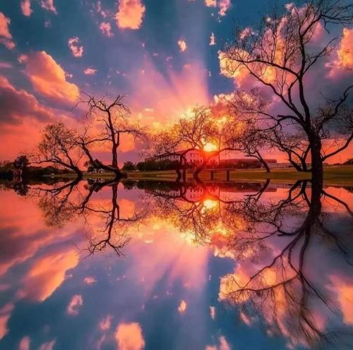 FB_IMG_1645428284678