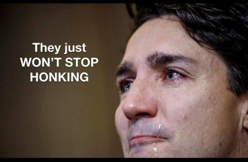 received_233493092332579