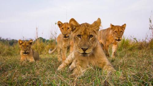 273492381_1760204314178911_969785791964698896_n