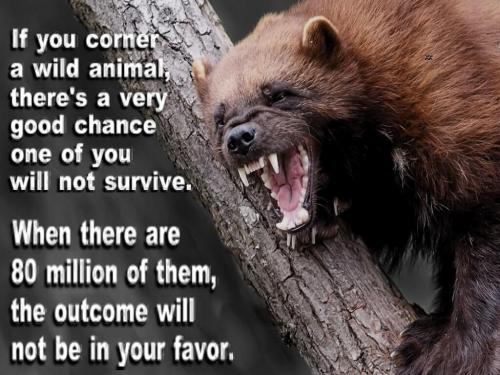 Corner_wild_animal_does_not_end_well