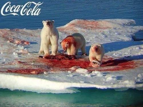 FB_IMG_1643948888927