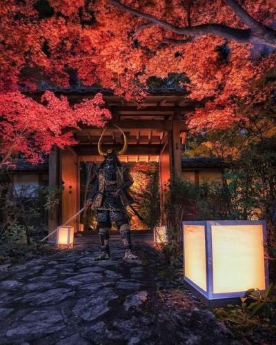 273301827_1461046337624426_4150573498813754944_n