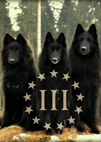 270152876_973783573552958_6922112178225757559_n