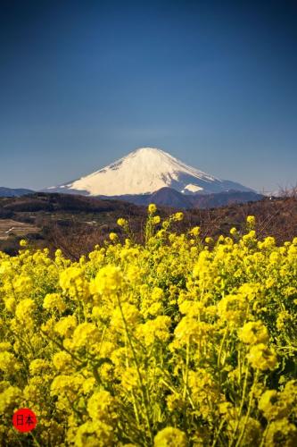 273889708_7034305853307740_5723919439944240099_n