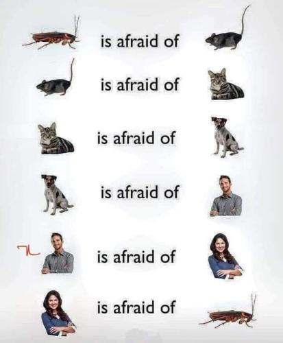 FB_IMG_1645252072720