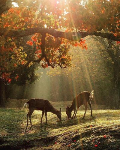 273202742_1758110011055008_7284767575170079169_n