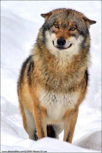 13:42:39 GMT-0600 (CST)