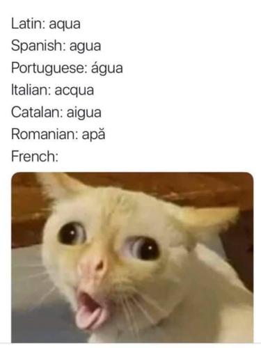 FB_IMG_1644654786705