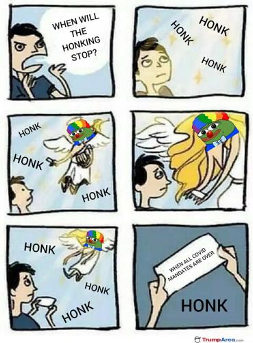 when-will-the-honking-stop