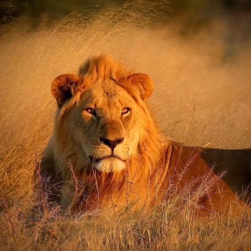 tumblr_a076de263ddc469cbb6241492c8f288c_f46cfbff_540