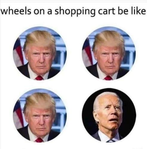 FB_IMG_1643886099901