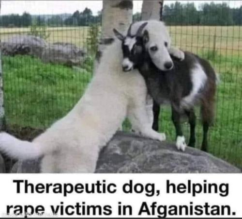 Screenshot_20220211-112721_MeWe