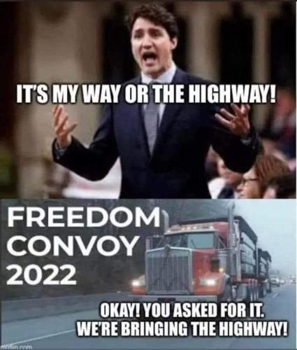 FB_IMG_1644455148012